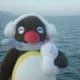 마루