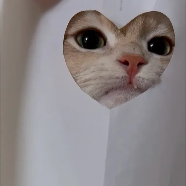 니쥬나나
