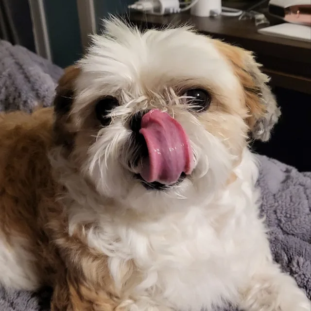 승뀨