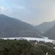 나비
