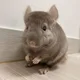 변심환불안댐