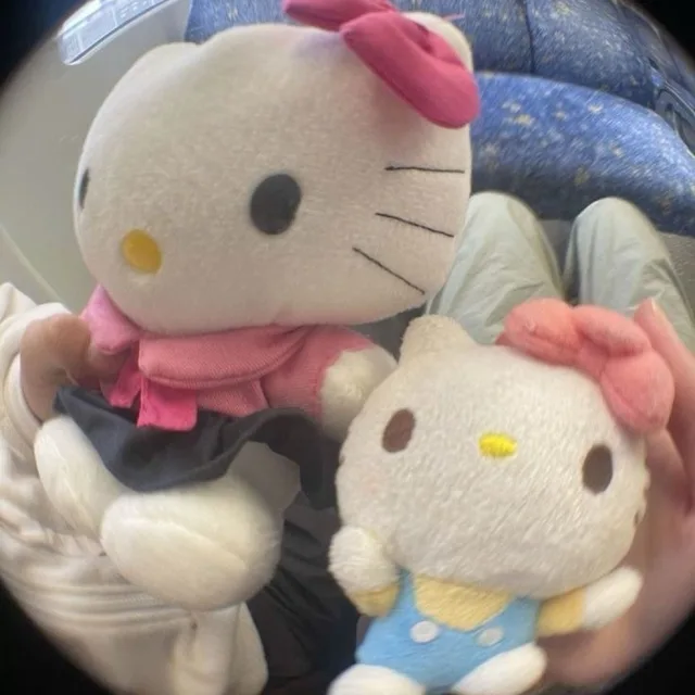 키티