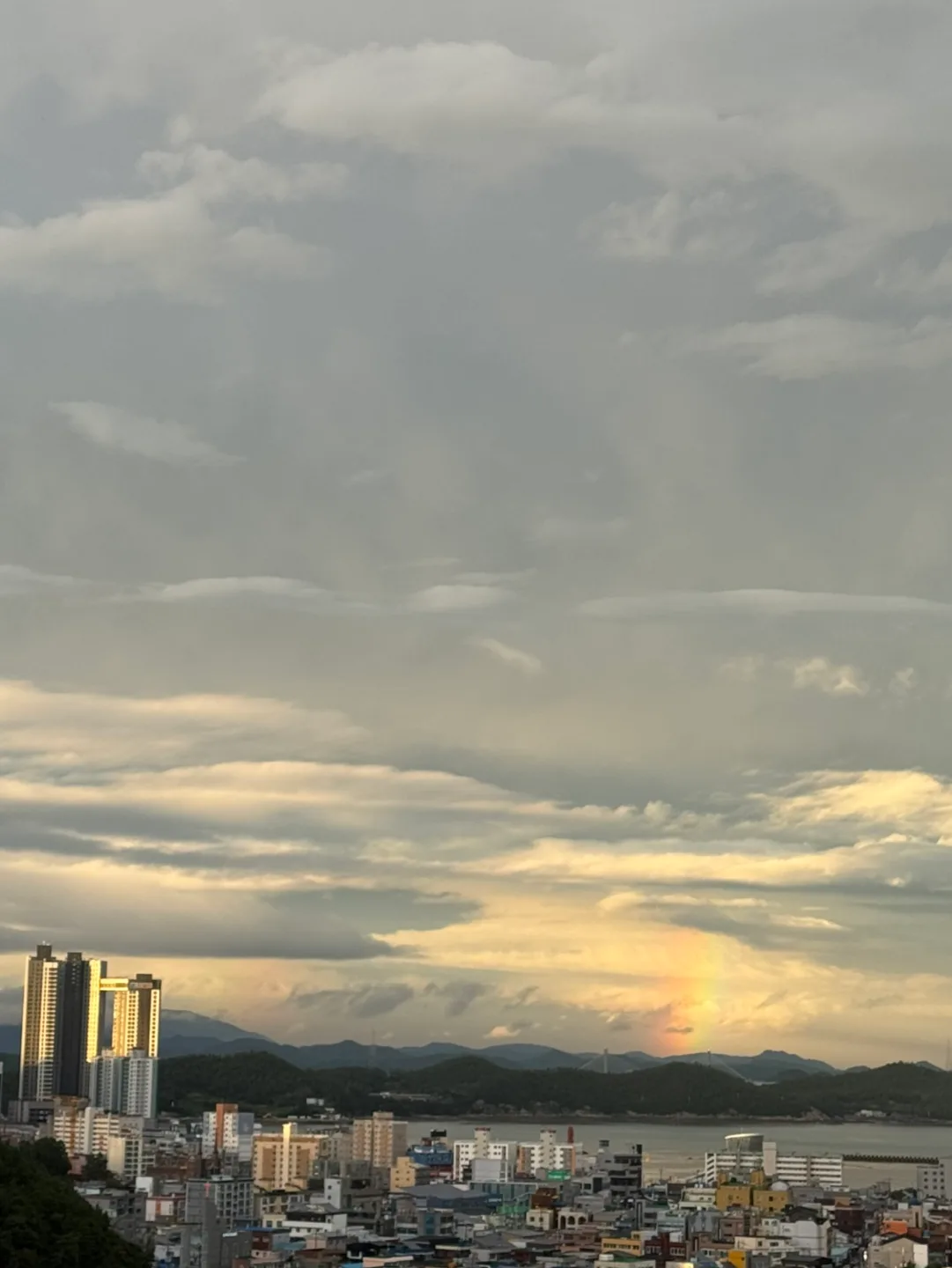 삐약
