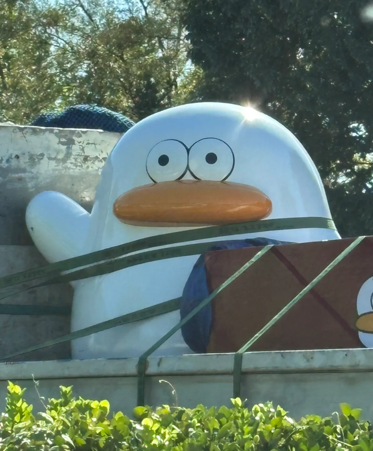 또롱