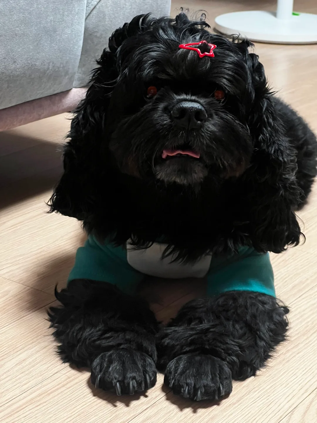콩이엄마