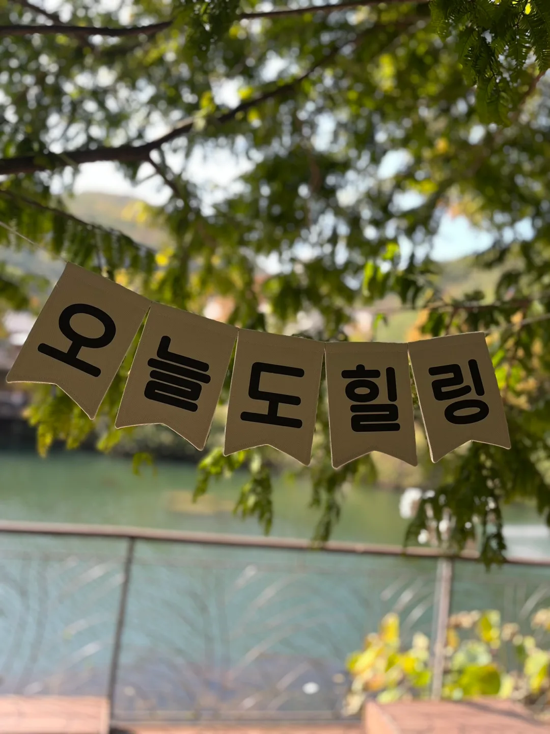 메이플