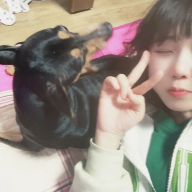 아리