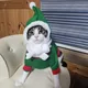신성