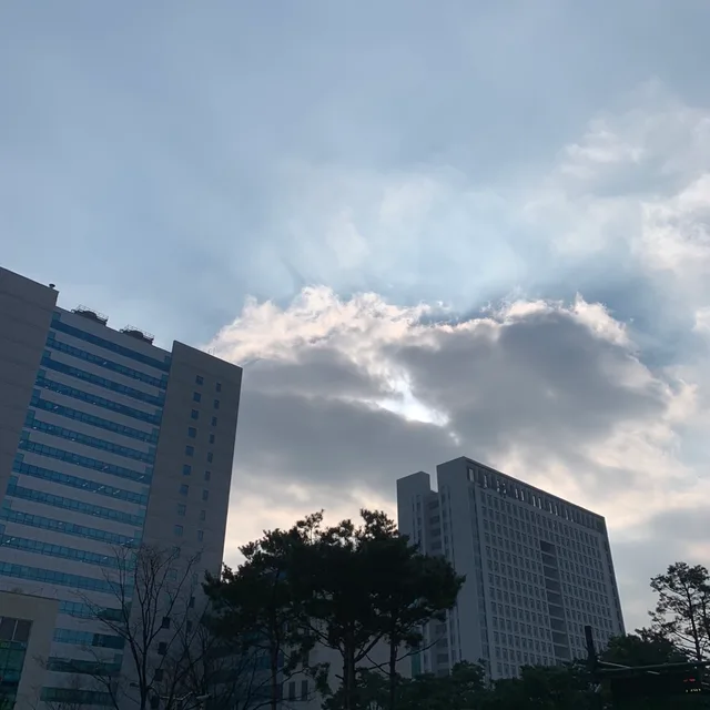 운냥이사랑