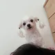 머현