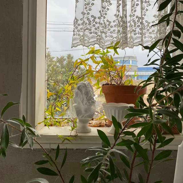 profile