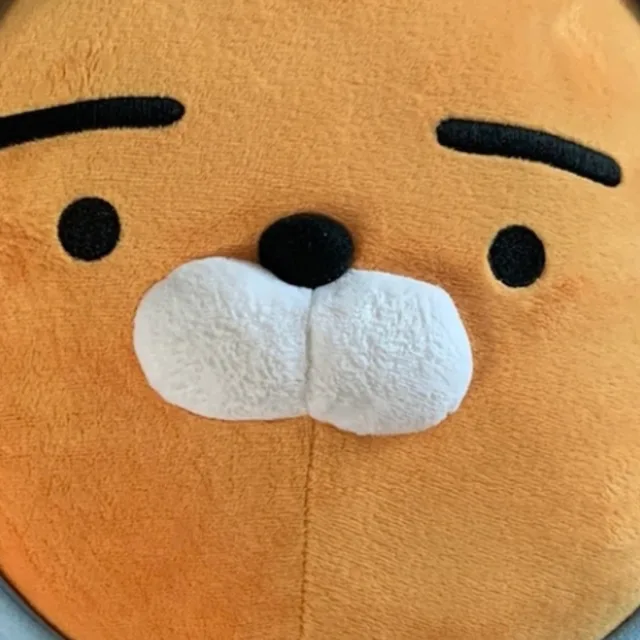 햇님잘잊어버림이해바람