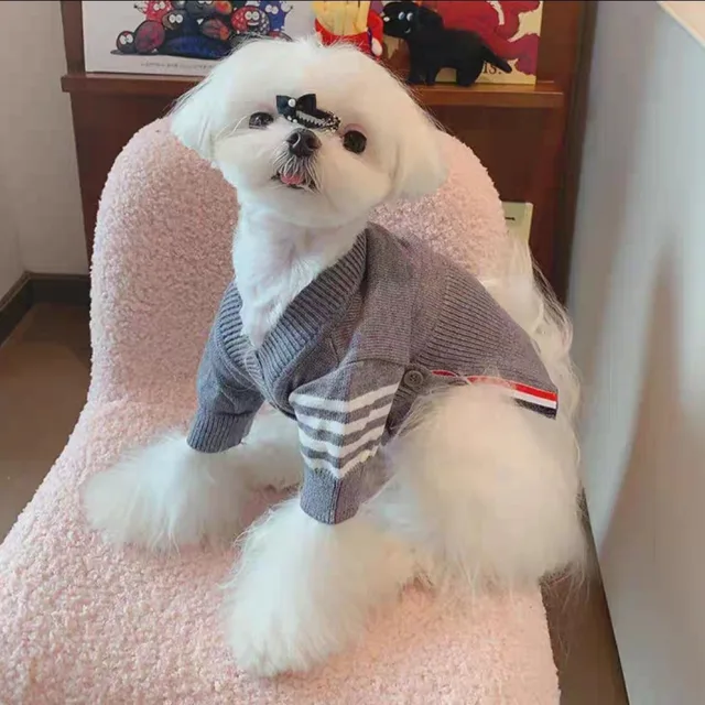 앨리스