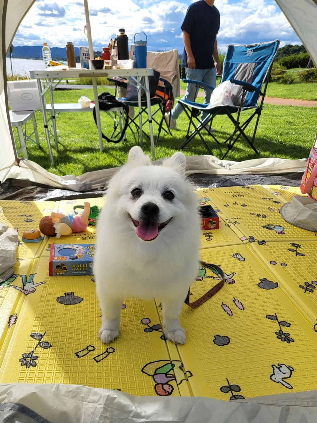 쪼윤