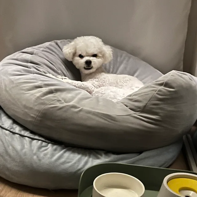 친절한둥이씨