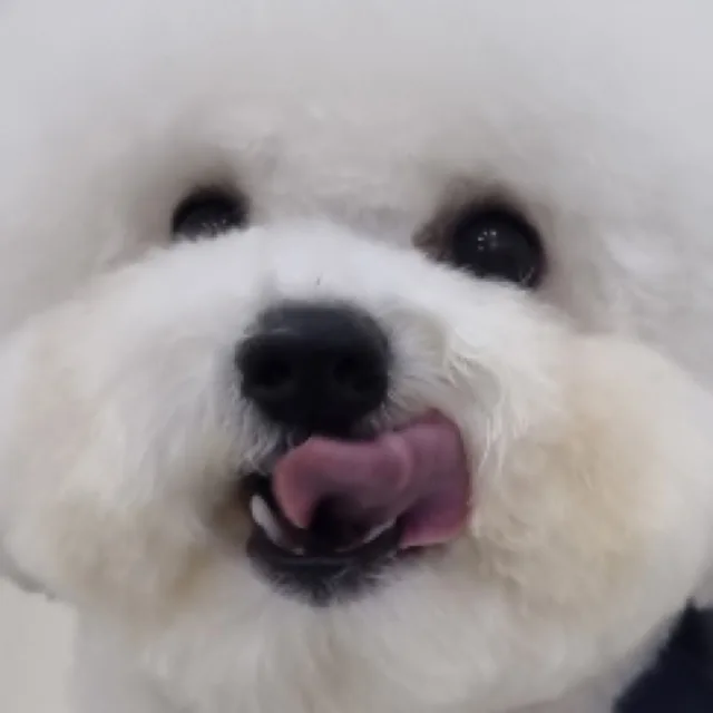 지이이