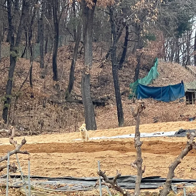 목욕탕매니아