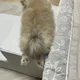 매력만점