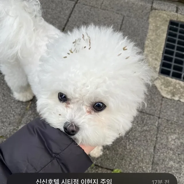 제주에머물다