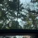과즙즈만