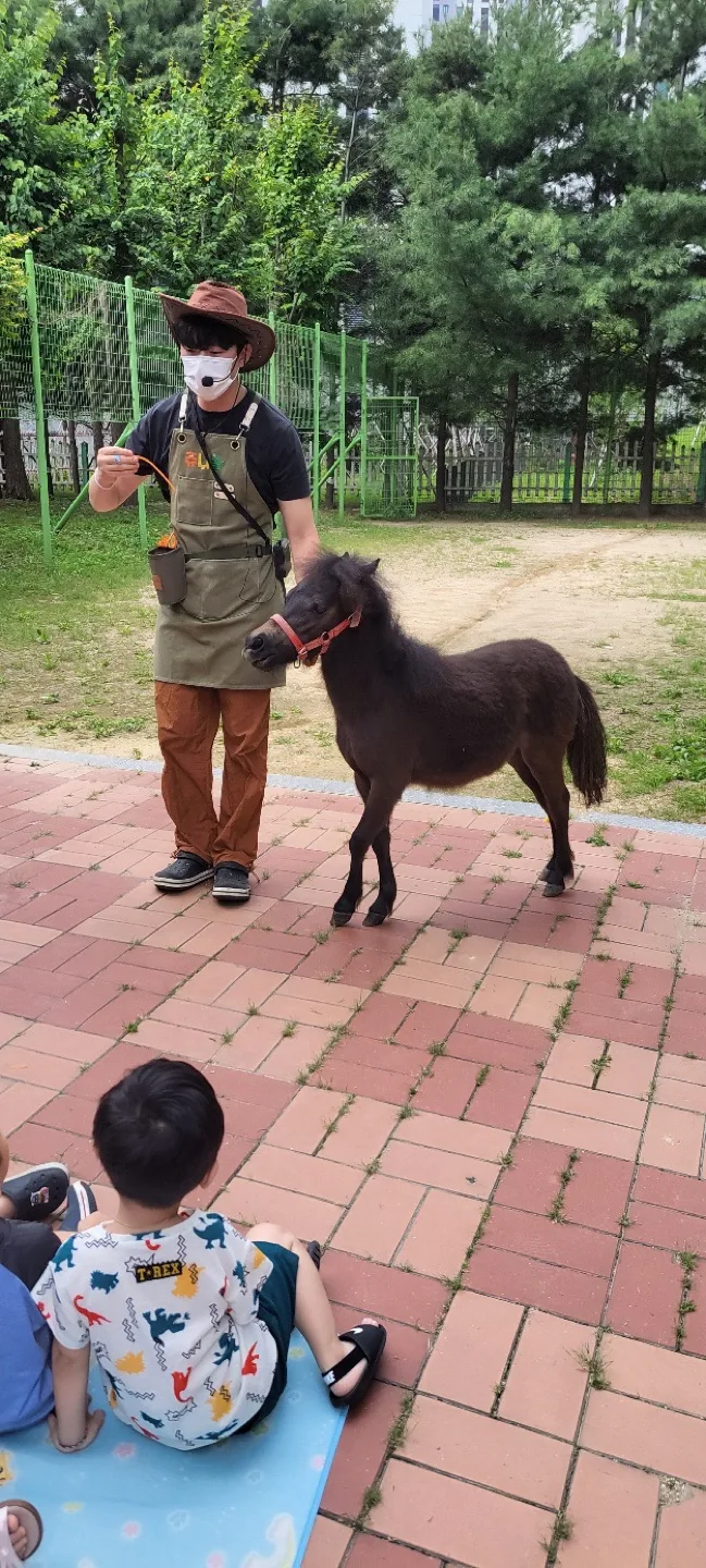 프링글스