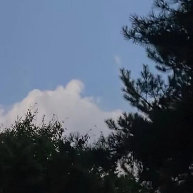 딹꿁