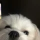 다팔아요