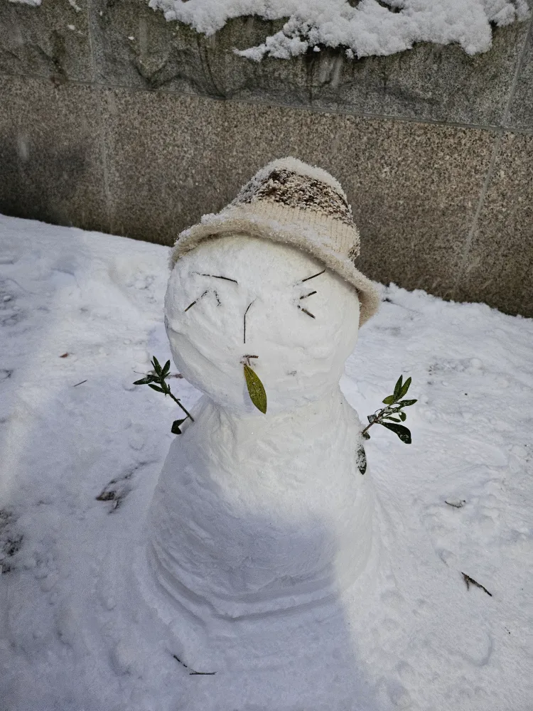햇살