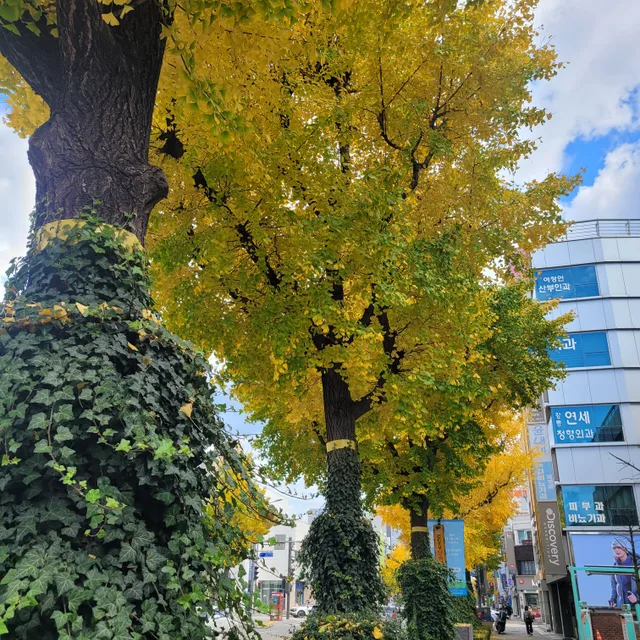 보름달