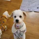옥이85여