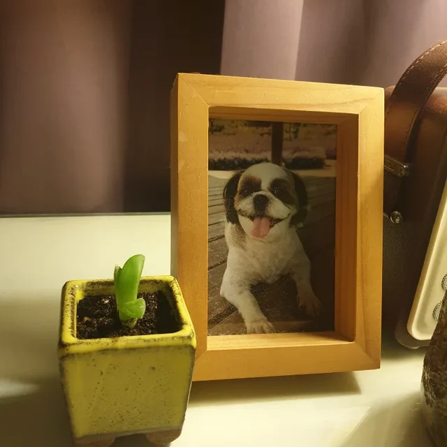 몽실
