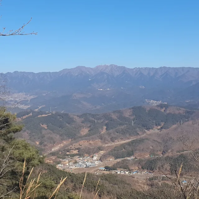 우유