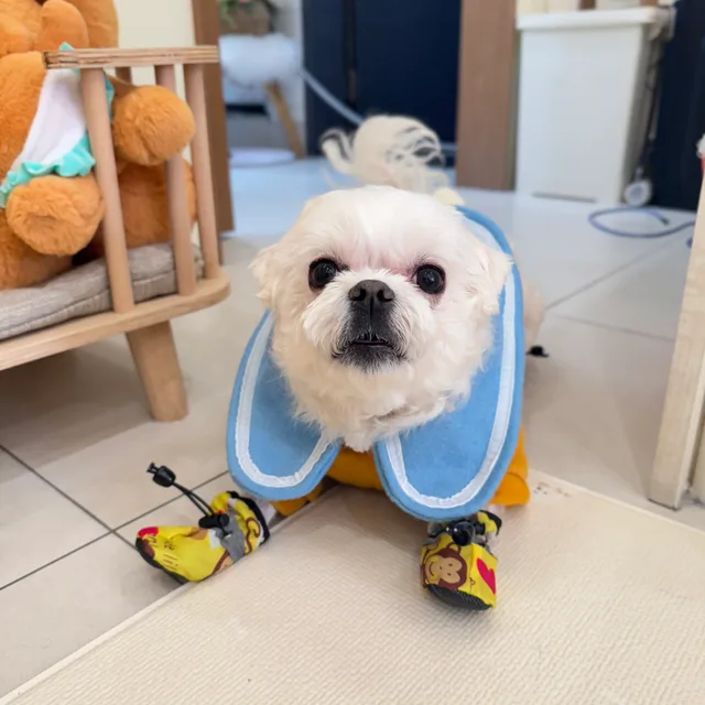신덕배