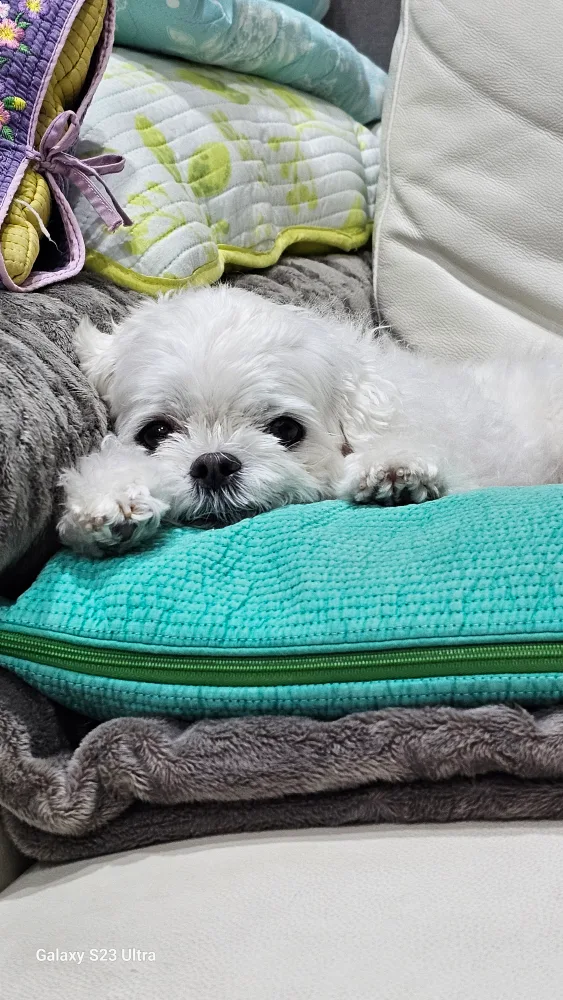 아침햇살