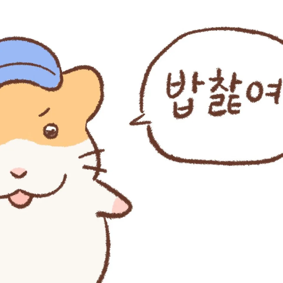 햄쨩볼주머니에수납을해자