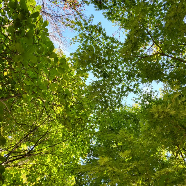 별청