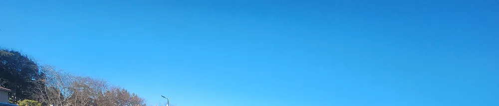 행운의거래