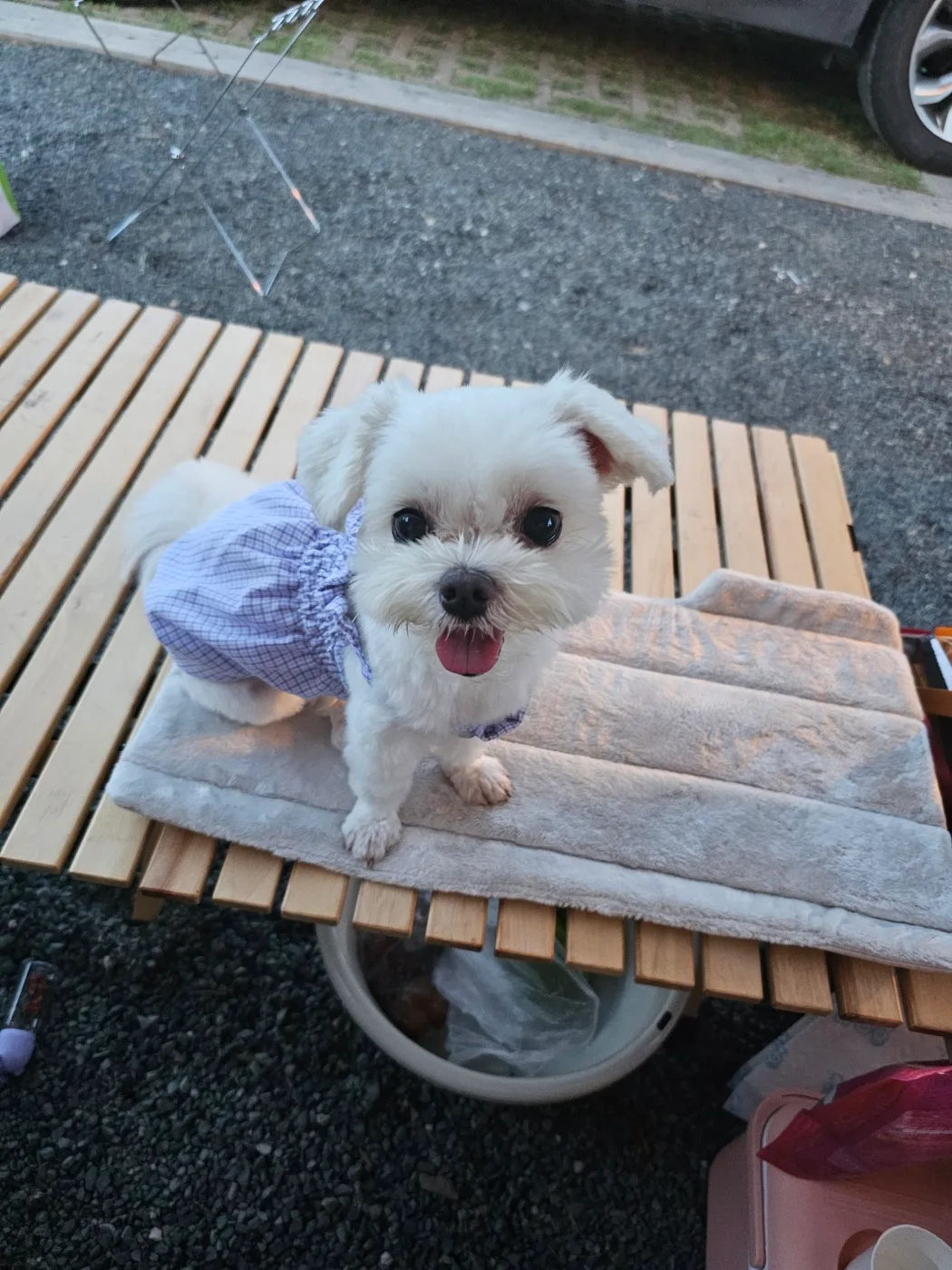 두부
