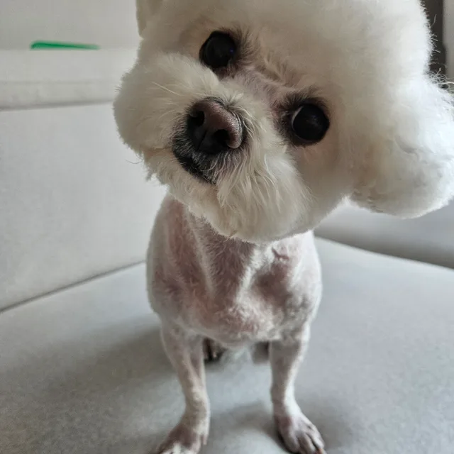 밀코