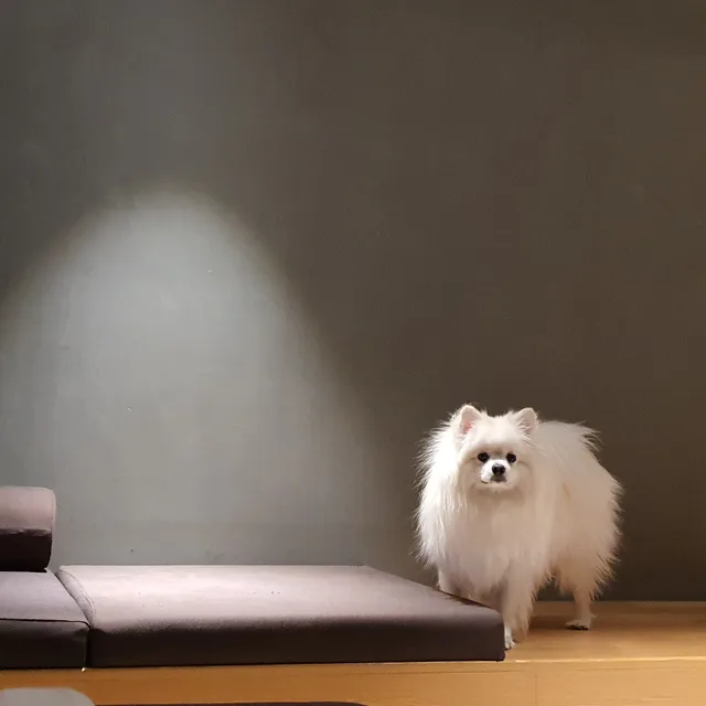 칸트맘