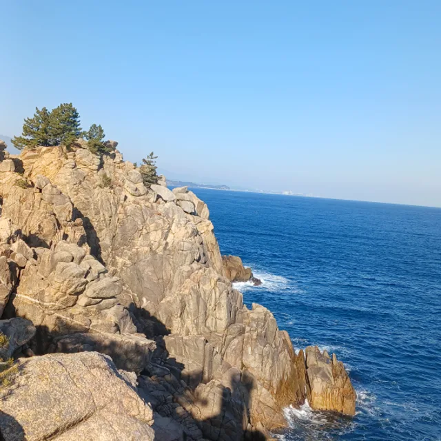 레드bear1