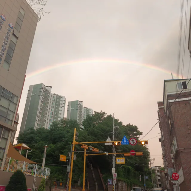 리치54페인트