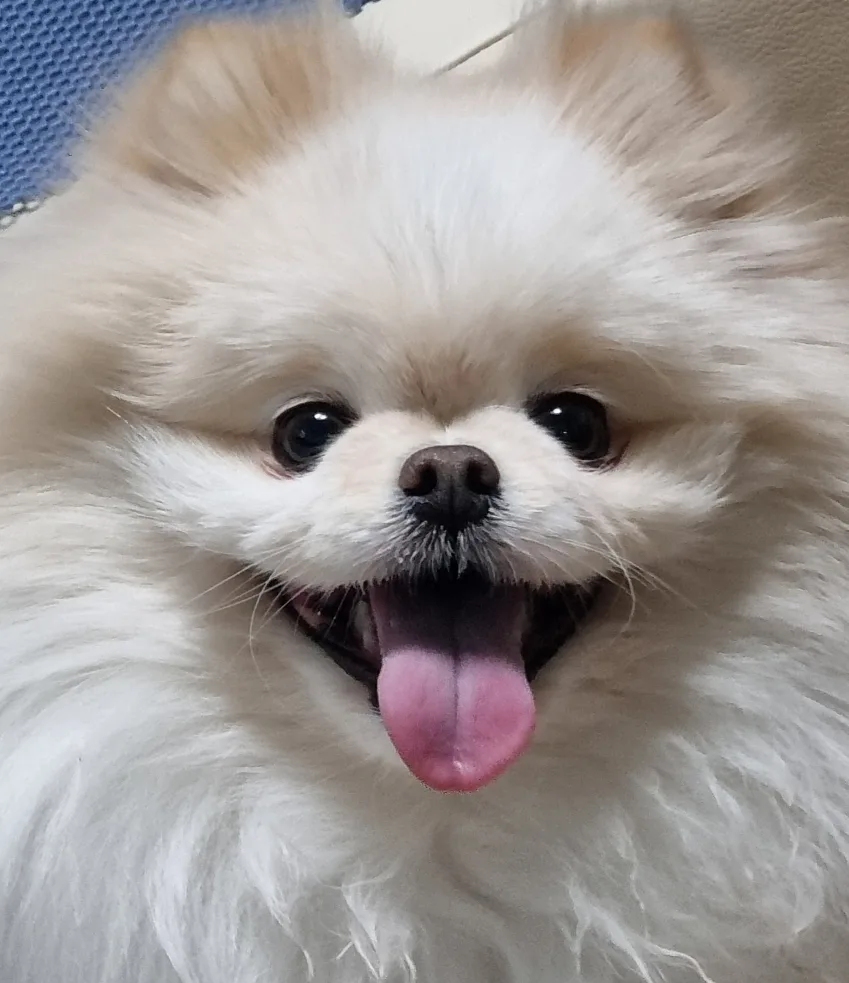 구름