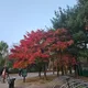 트리플