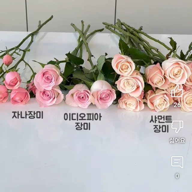 고맙습니다