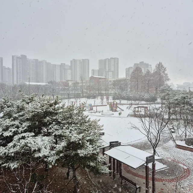콩삼
