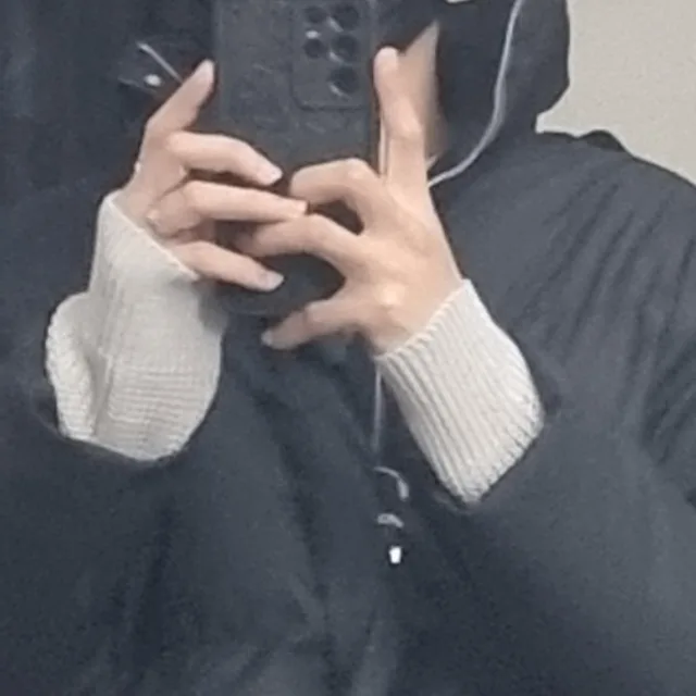안지원