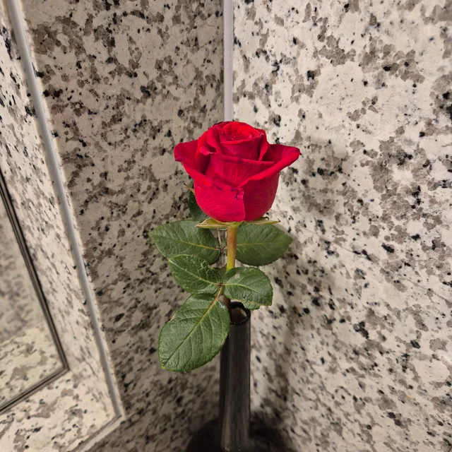 쀼쀼