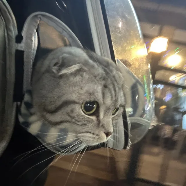 주안동집사