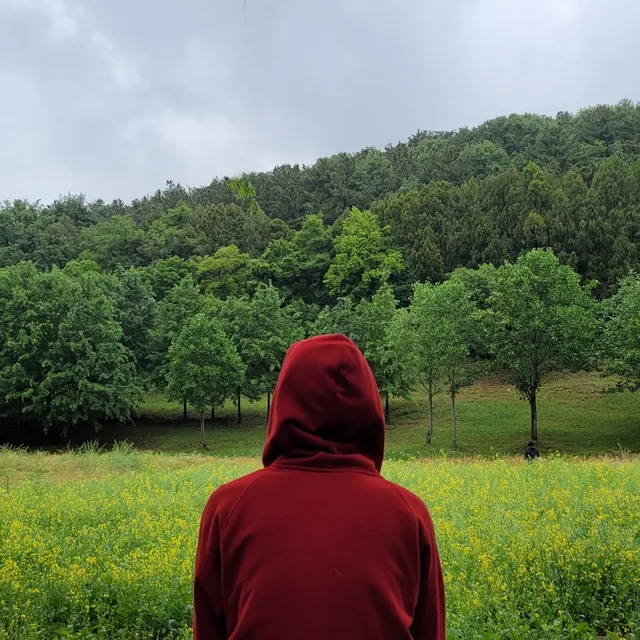 대니보이